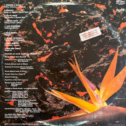 Santa Cruz – Flor Incendiária