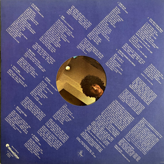 Toninho Horta - Terra dos Pássaros