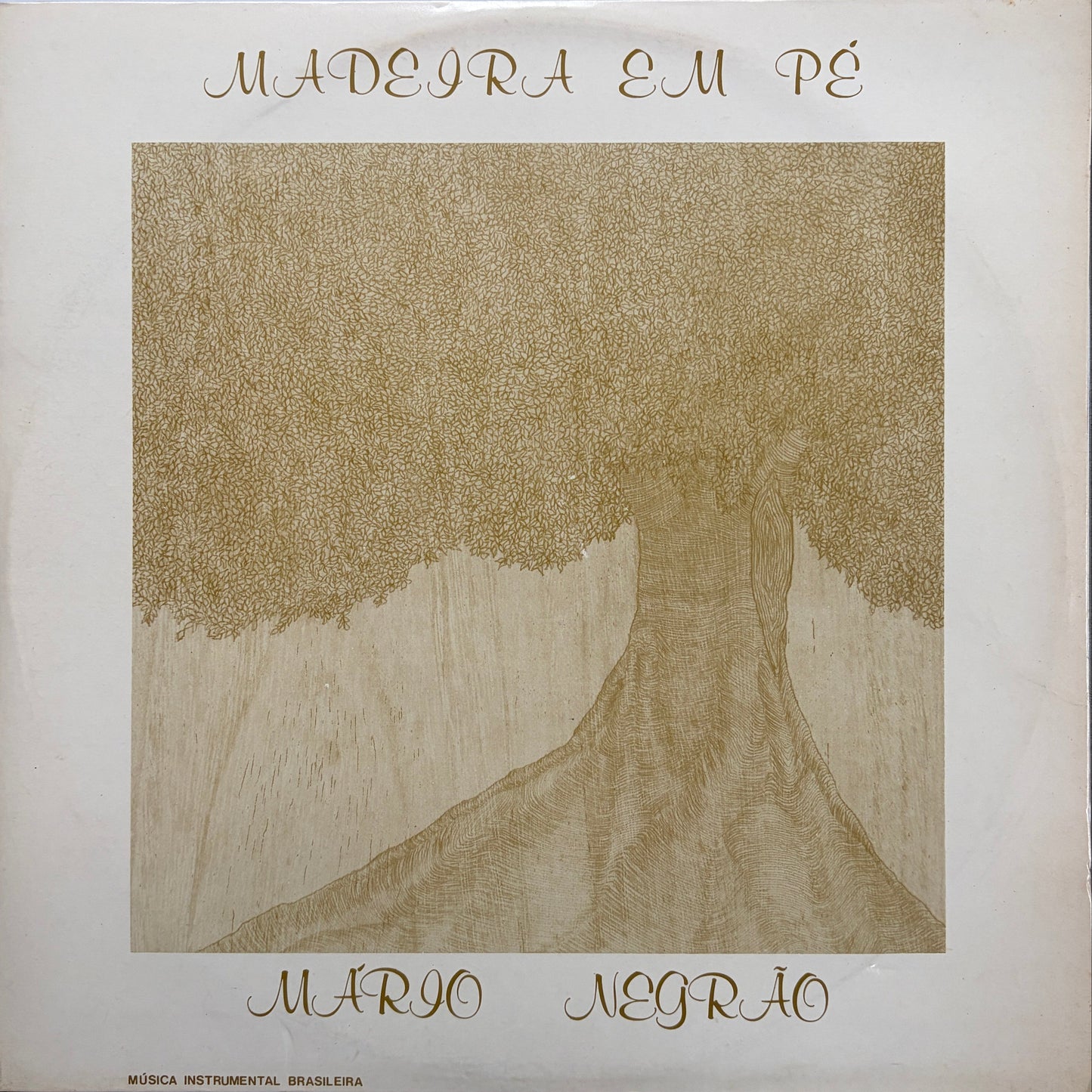 Mário Negrão – Madeira Em Pé