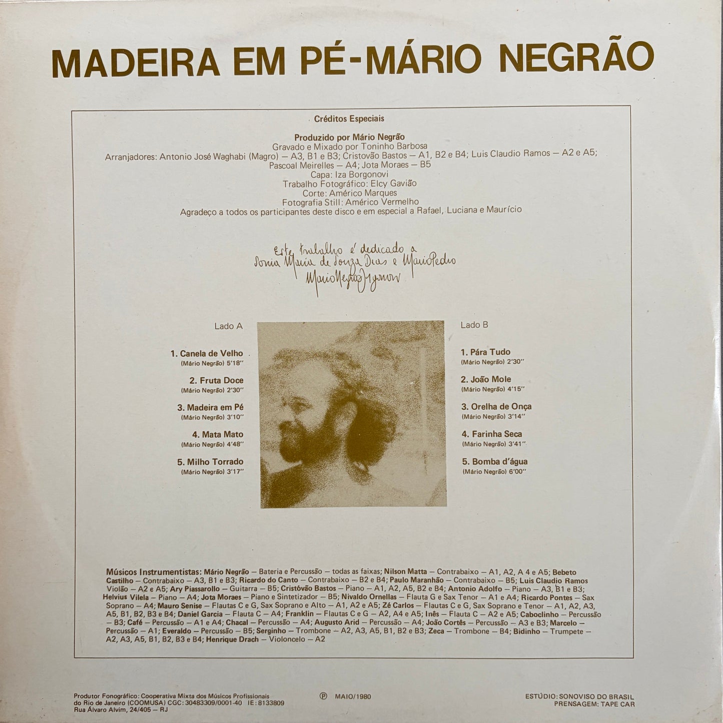 Mário Negrão – Madeira Em Pé