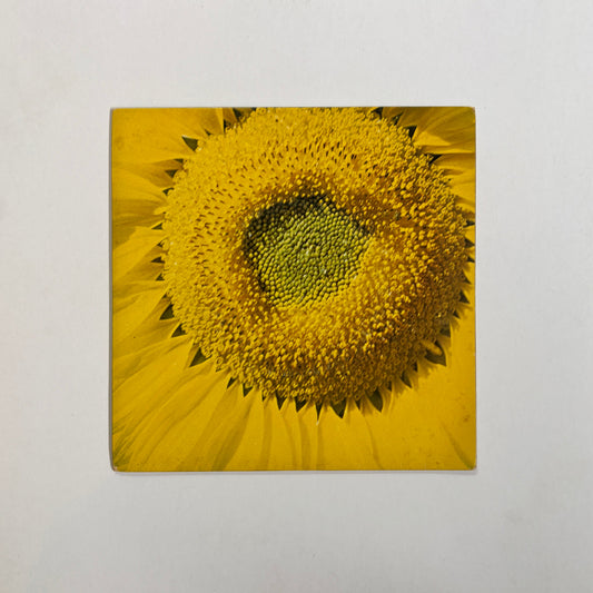 Marcos Valle – Girassol 7"