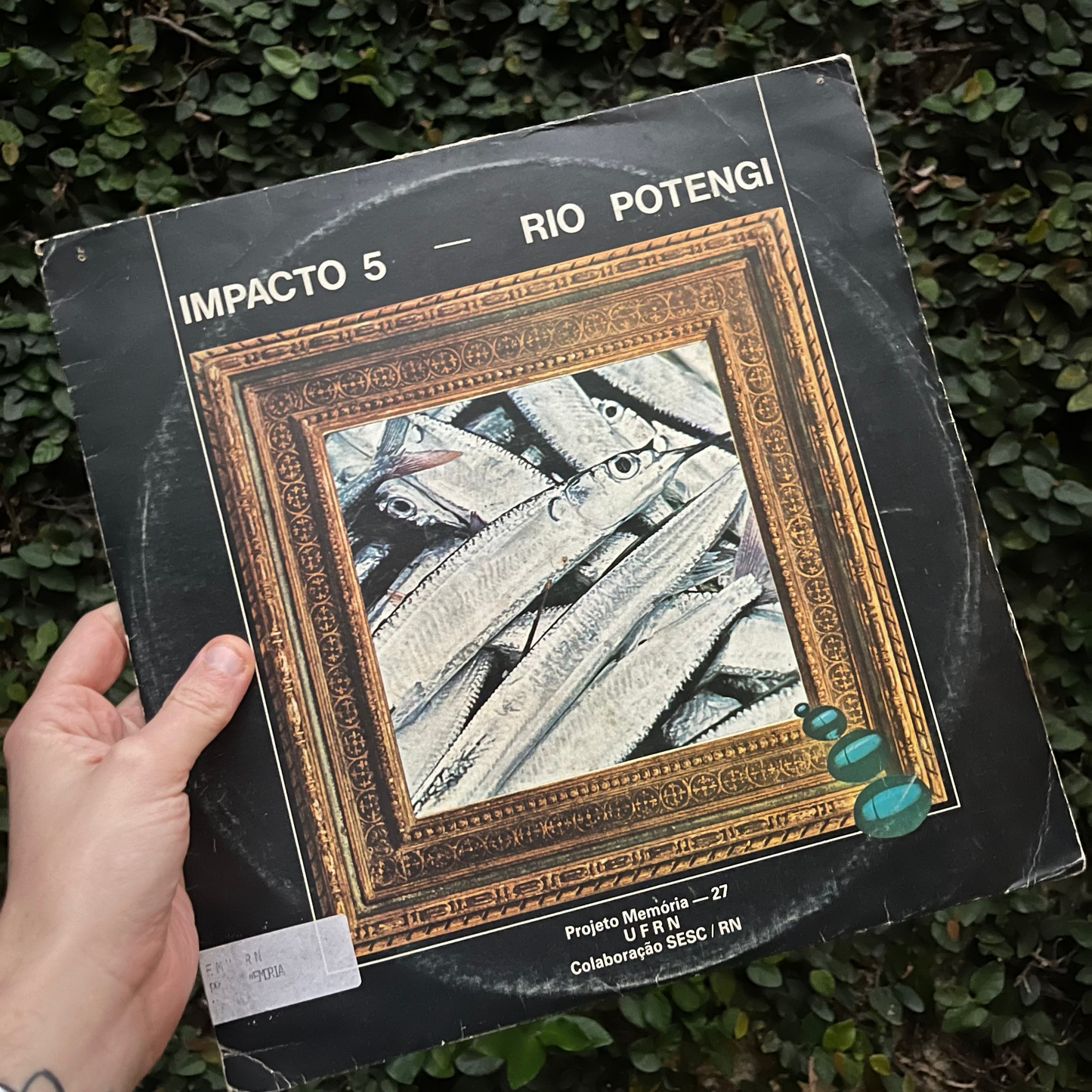 Impacto 5 – Rio Potengi