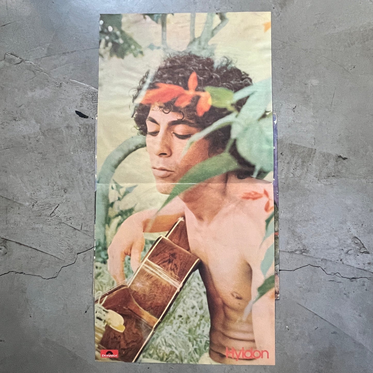 Hyldon - Deus A Natureza E A Música (W/ Poster!)