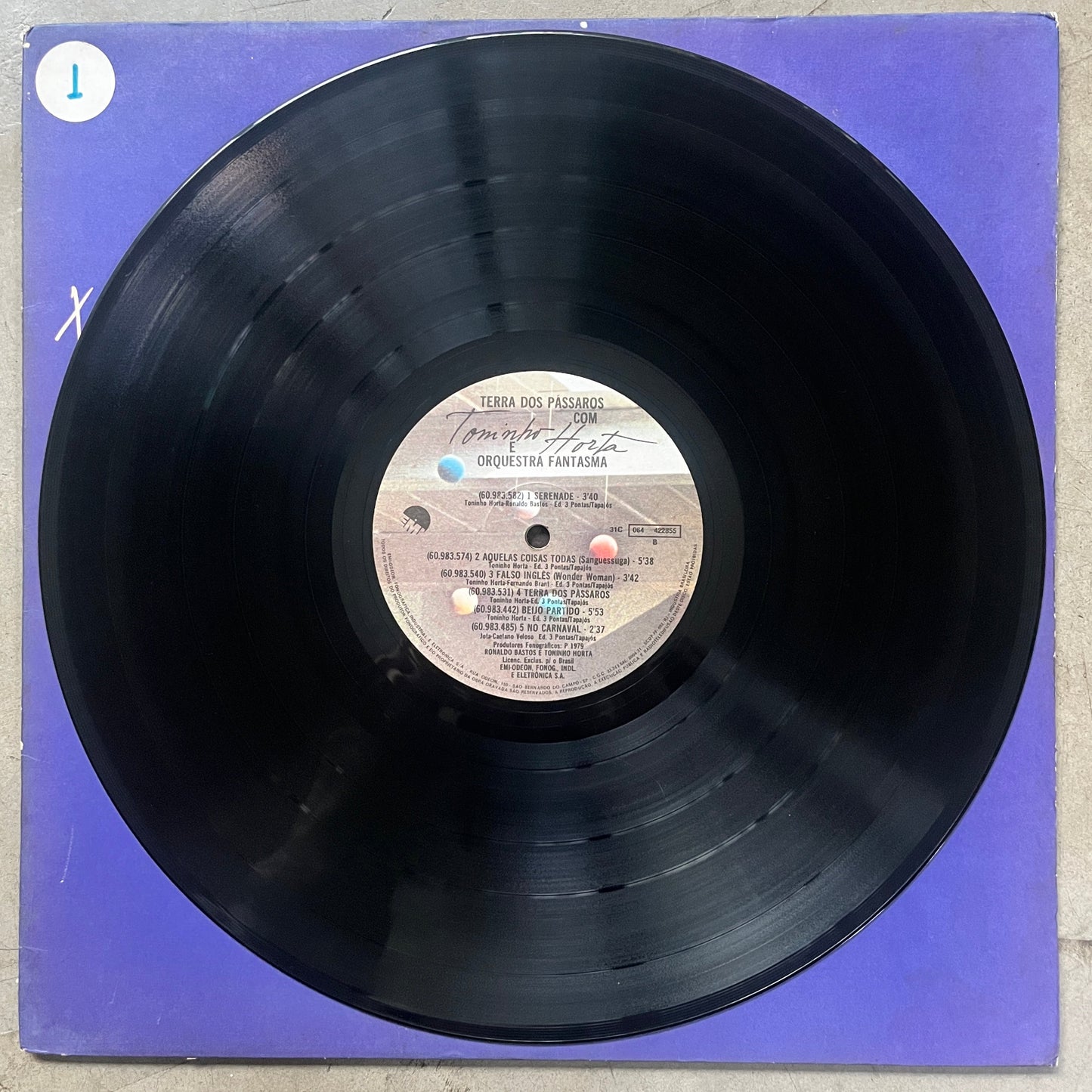 Toninho Horta - Terra dos Pássaros